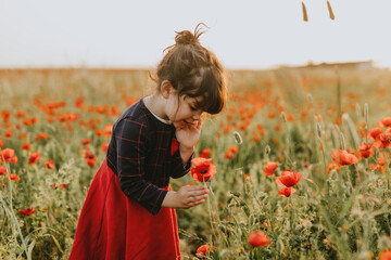Cute girl picking poppies