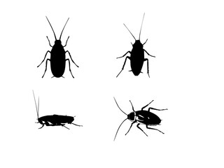 Vector cockroach stock vector. Illustration of disgusting for Free EPS