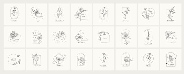 Set of minimal feminine botanical floral frame or logo with trendy flowers. Hand drawn wedding herb, homeplant with elegant leaves. Botanical rustic trendy greenery vector