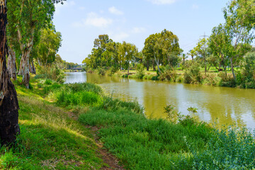 Fototapeta premium Yarkon river, and trees, in the Yarkon Park