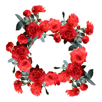 Beautiful red roses wreth template good for invitation or wedding card. Vector.
