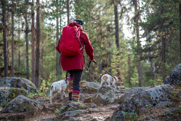 Woman hiking in Lapland Finland