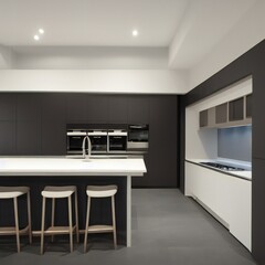 Modern Minimalist Kitchen