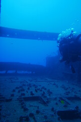 Fototapeta premium The Seatiger shipwreck when SCUBA diving off of Oahu. Wreck diving adventures with Oahu Diving, your wreck dive specialist.