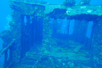 The Seatiger shipwreck when SCUBA diving off of Oahu. Wreck diving adventures with Oahu Diving, your wreck dive specialist.
