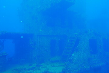 The Seatiger shipwreck when SCUBA diving off of Oahu. Wreck diving adventures with Oahu Diving, your wreck dive specialist.
