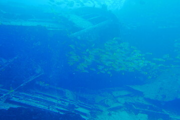 The Seatiger shipwreck when SCUBA diving off of Oahu. Wreck diving adventures with Oahu Diving, your wreck dive specialist.