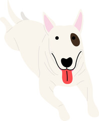 bull terrier