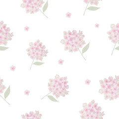 hydrangea illustration pattern vector floral flowers