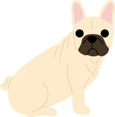 French bulldog