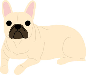 Obraz na płótnie Canvas French bulldog