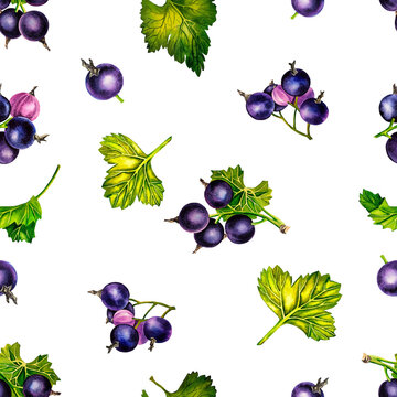 Currant. Seamless pattern with currant berries. Watercolor. For design solutions for packaging, labels and textiles.