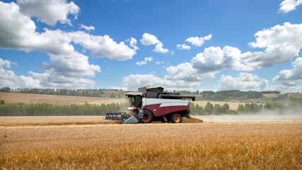 Fototapeta premium Working harvesting combine in the field of wheat. Harvest in the sunny day.