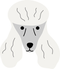 Poodle illustration