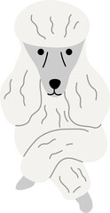 Poodle illustration