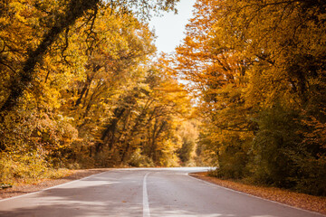 Naklejka premium Scenic asphalt road close up photo. Autumn nature backgrounds