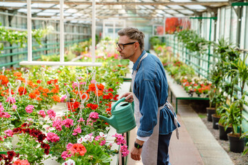 Fototapeta na wymiar White man wearing apron watering plants while working in greenhouse