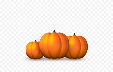 Vector pumpkins on an isolated transparent background. Pumpkin for halloween PNG. Halloween objects PNG.