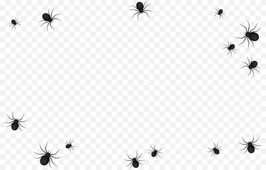 Vector spiders on an isolated transparent background. Background with spiders for design. Spiders PNG. Halloween spiders PNG. Background for Halloween.