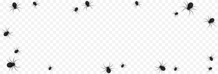 Fototapeten Vector spiders on an isolated transparent background. Background with spiders for design. Spiders PNG. Halloween spiders PNG. Background for Halloween. © Vitaliy