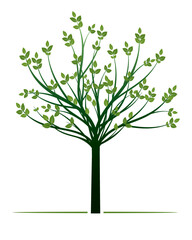 Young green Tree with Leaf. Vector outline Illustration.