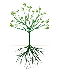 Young green Tree with Roots. Vector outline Illustration.