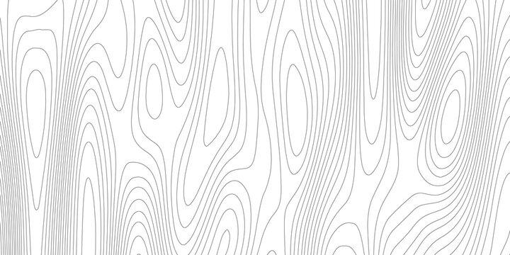 Abstract Topographic Contours Map Background .Topographic Background And Texture, Monochrome Image.  Topography And Geography Map Grid Abstract Backdrop. Business Concept.  Topography Map Concept. 