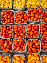 boxes of colorful ripe tomatoes in a market