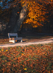 Nice street in Budapest in autumn