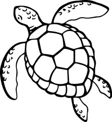 Hand drawn sea turtle vector illustration on white background. Sea or ocean underwater life