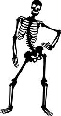 Silhouette of a skeleton.
