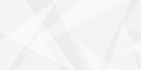 Abstract geometric white and gray color background. Texture of white crumpled paper for background. Geometric lines angles and triangle shapes Texture of an old surface .white crumpled paper .