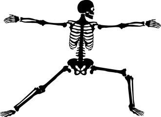 Silhouette of a skeleton.