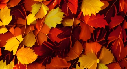 Beautiful autumn landscape. Colorful foliage in the park. Falling leaves natural background