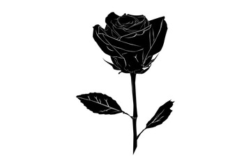 rose silhouette