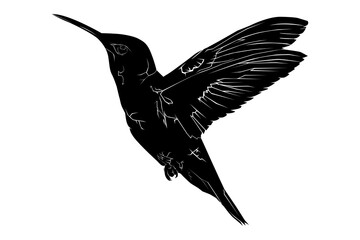 Obraz premium Hummingbird silhouette