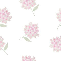  hydrangea illustration pattern vector floral flowers