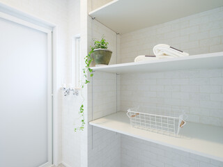 観葉植物のあるバスルームの脱衣所の収納