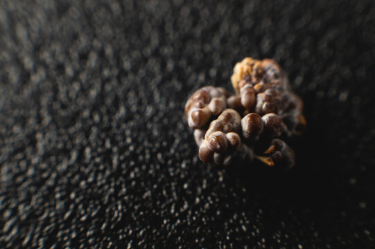 Macro Extreme Nephrolithiasis - Close-up Of A Kidney Stone Renal Calculus Or Nephrolitis On A Black Background.