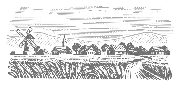 Rural landscape field wheat vector. Retro village and hill