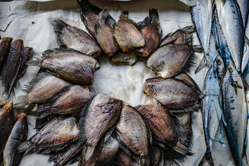 One sun gourami placed on paper for sale in the Ban Na Kluea market, Pattaya, Thailand.