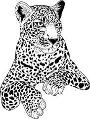 Foto op Plexiglas Hand drawn jaguar for your design © donnaya92