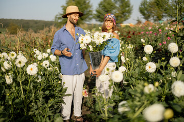 Portrait of man and woman stand as farmers with bucket full of freshly picked up white dahlias,...