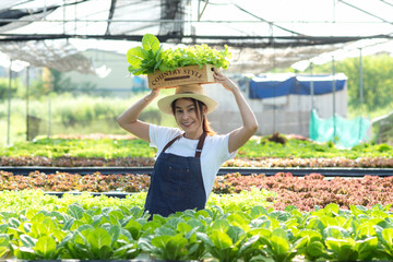 Owner farmer working and care vegetable or nurse growth plants Hydroponic organic in greenhouse.  Asian women gardener in agriculture industry. Hydroponic agricultural system.  Business small concept