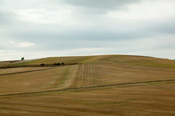 Fototapeta premium Paisaje de tierras de cultivo en Vitoria, España