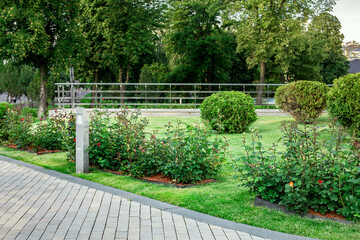 led lamppost of ground garden lantern with roses flowers in backyard with mulch flower bed and...