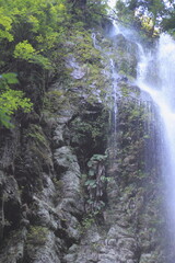 自然豊かな日本の美しい滝