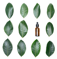 top view glass bottle dropper oil serum with flat lay green leaves on wood background.concept for...
