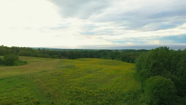 Aerial drone video, revealing a field with countryside wildflowers in the mountains of Petite Matane