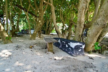 A short break under the shade of a tree on the sandy beach